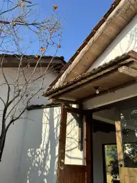 西坡staycation |淡季千島湖的打開方式