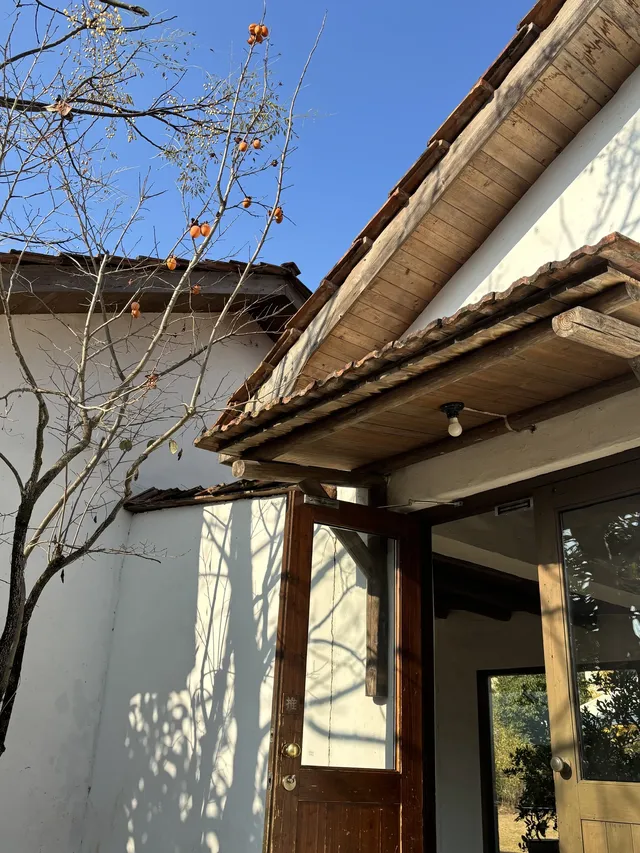 西坡staycation |淡季千島湖的打開方式 西坡staycation |淡季千島湖的打開方式