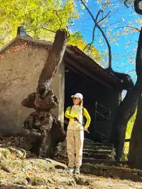 台州賞秋封神4條徒步路線建議收藏~