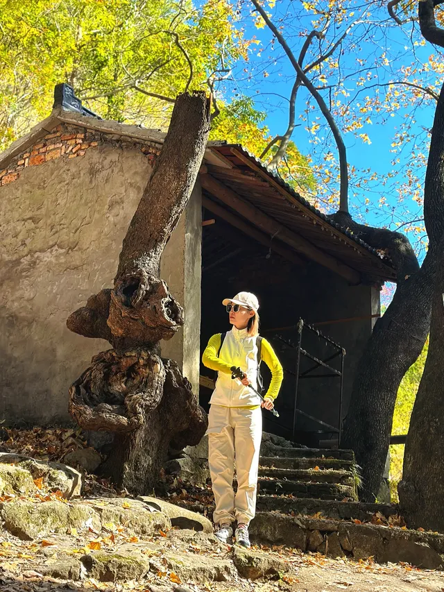 台州賞秋封神4條徒步路線建議收藏~ 台州賞秋封神4條徒步路線建議收藏~