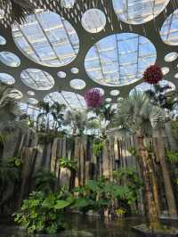 Shanghai Greenhouse Garden – всё, что нужно знать