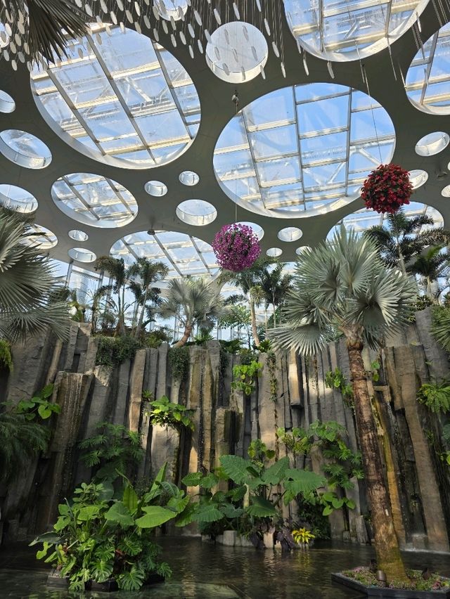 Shanghai Greenhouse Garden – всё, что нужно знать Shanghai Greenhouse Garden – всё, что нужно знать