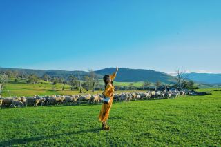 Deep Dive into Tasmania: Spend a Day Living as a Farmer on a 750-Acre Ranch