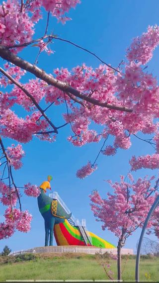 คู่มือสวนสาธารณะต้าอิงเผิงไหลฉบับลุยแหลก