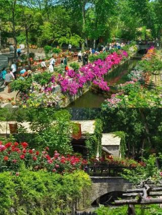 Linyi Yayougou: An Ancient Qilu Village Hidden Among Mountains and Waters