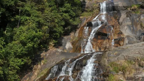 Fujian Longyan · Liangyeshan National Nature Reserve — traveler post in Wuping