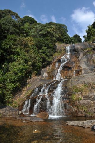 福建龍巖·樑野山國家級自然保護區