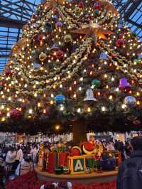 Experience the top-tier fairy-tale charm of Tokyo Disneyland