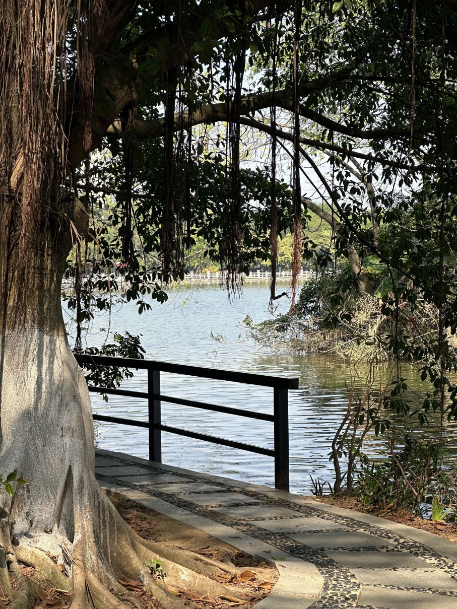 夏休みにオーストラリア・ニュージーランドへ出発 この攻略ガイドは超