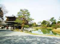 A day in Kyoto: Byōdō-in & Fushimi Inari