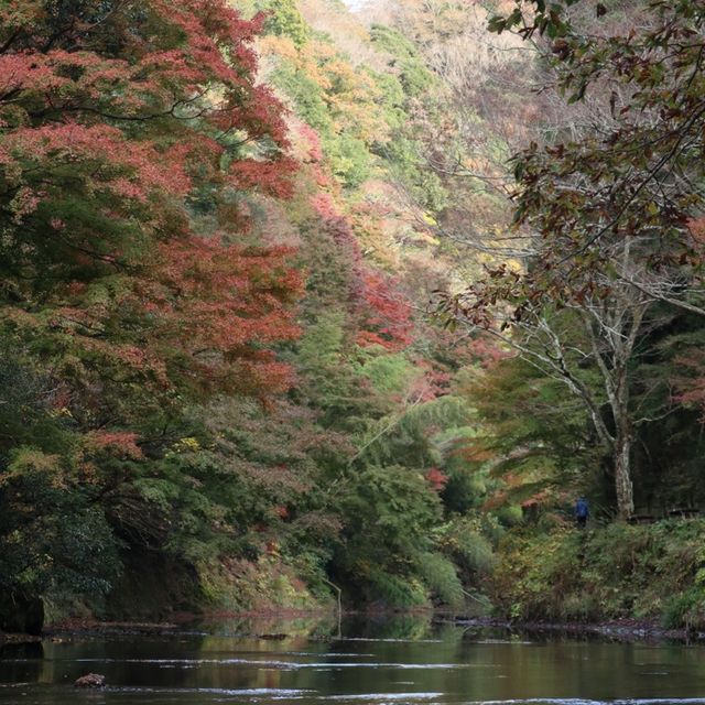 【千葉】養老渓谷で紅葉を見ながらマイナスイオンに満たされる！