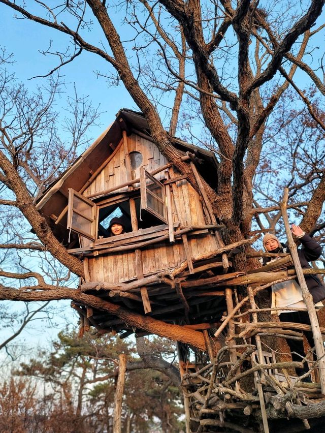지브리 감성 한가득, 동화속 오두막집이 있는곳🏡