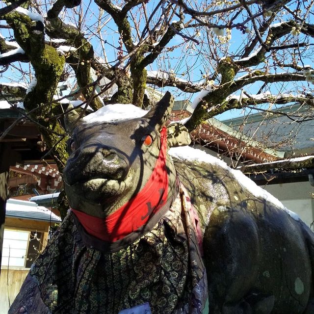京都 北野天満宮の『なで牛』に雪が積もっていた。