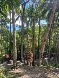 Animal Encounter at Cebu Safari