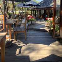 Bee & Rose café