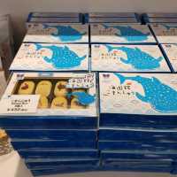 ジンベイザメ弁当が美味しい！　２階オフィシャルミュージアムショップ