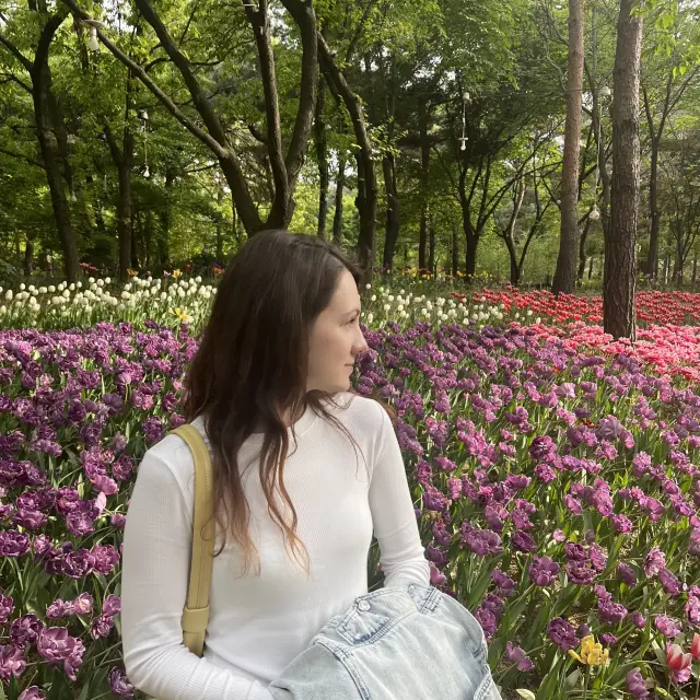 Don’t miss out on a chance to see flowers in Seoul Forest 