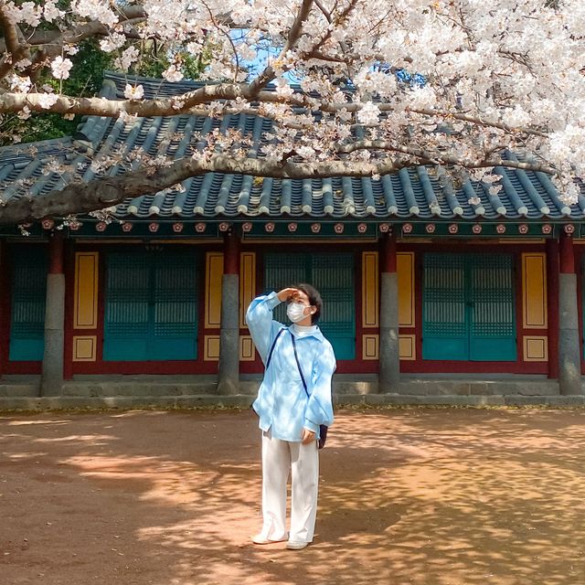 제주공항과 가까운 고즈넉한 삼성혈🌸