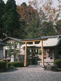 日本九州 | 探訪古老的阿蘇神社⛩️