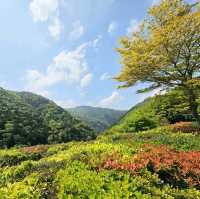 大河內山莊
