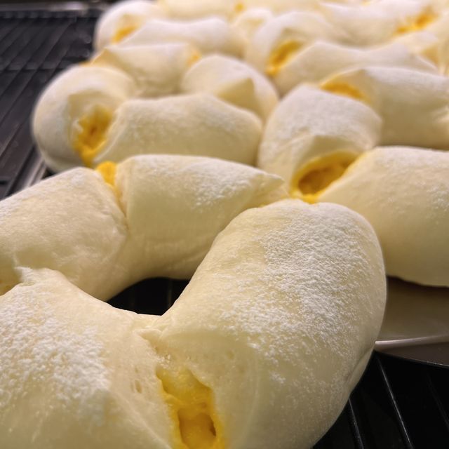 놀면 뭐하니? 에도 나온 그 유명한 브런치 카페! 양주 제로니모 커피하우스☕️