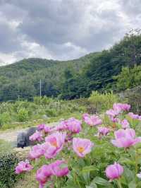 산속에 위치한 독채펜션 예사랑 도자기공예도 했어요🌱💚