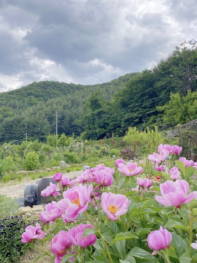 산속에 위치한 독채펜션 예사랑 도자기공예도 했어요🌱💚