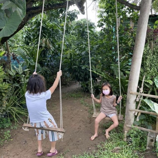 พาเด็กๆเรียนรู้ธรรมชาติ ที่ Ginger Farm เชียงใหม่