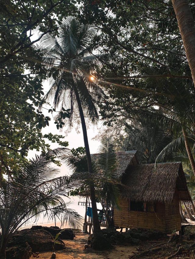 ย้อนเวลาไปเกาะหวาย🌴