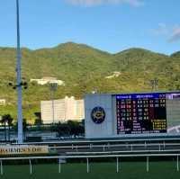 香港必黎景點-沙田馬場一日體驗游