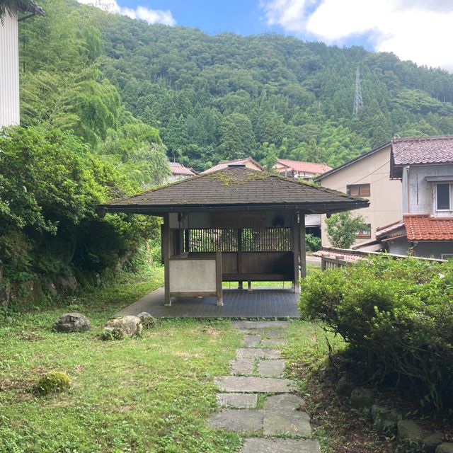 山中温泉　【栢野の大杉 (かやののおおすぎ)]