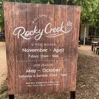 Rocky Creek Strawberry Farm