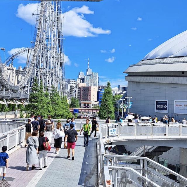 🏟️ 생기가 가득한 도쿄의 현장, 도쿄 돔 ! 
