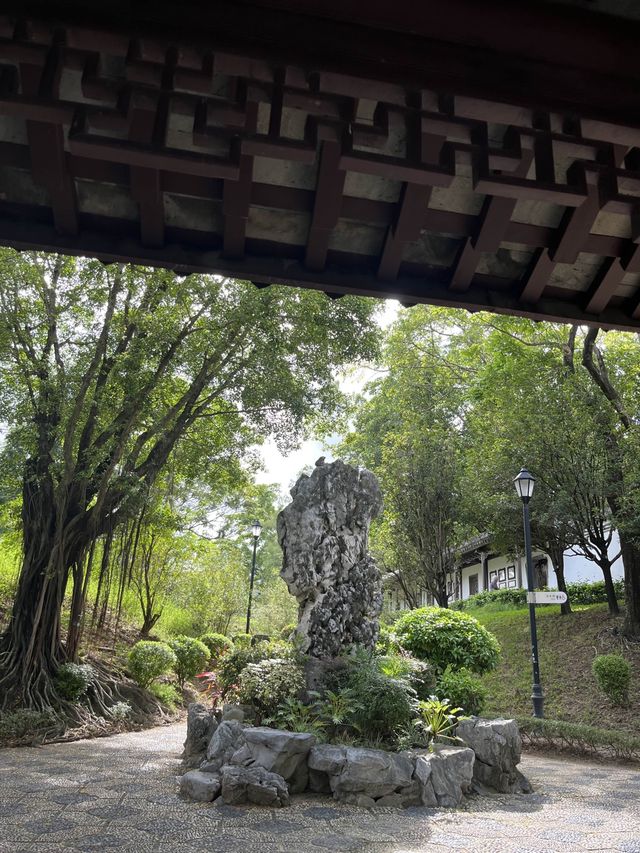 好值得細心閱覽嘅九龍寨城公園