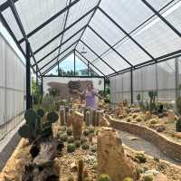 The Oasis ดิ•โอเอซิส ร้านลับใจกลางเมืองสุราษฎร์ฯ
