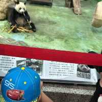 【臺北市立動物園】：樂學給合♡親子探索自然的夢幻之旅