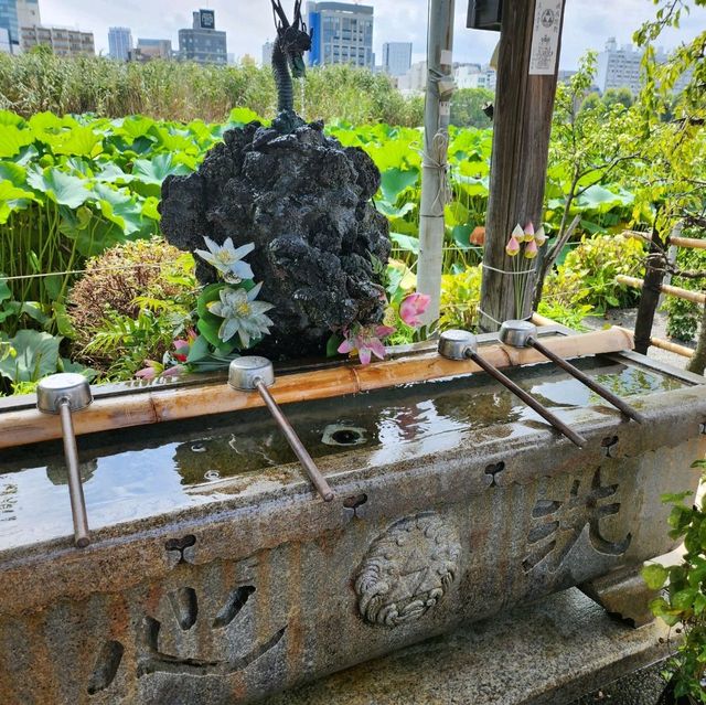 財源廣進 - 參拜上野不忍池弁天