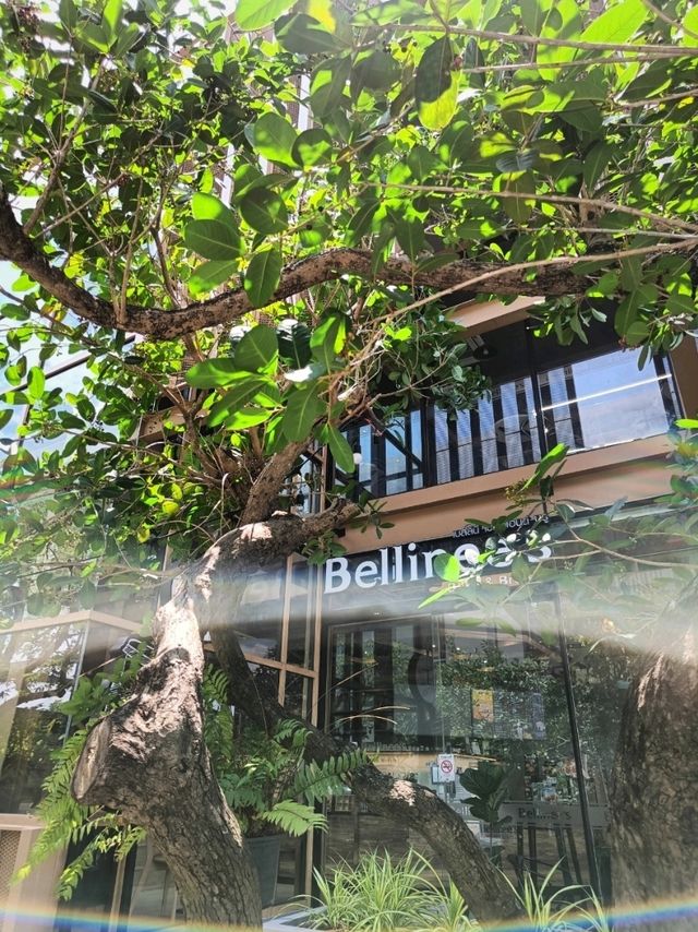 Bellinee's Bake & Brew @สกลนคร