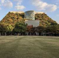 天神中央公園：城市綠洲放鬆身心！🌳🌷🏞️