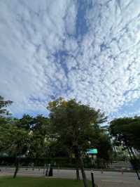 สวนเบญจกิติ 🌳🍃