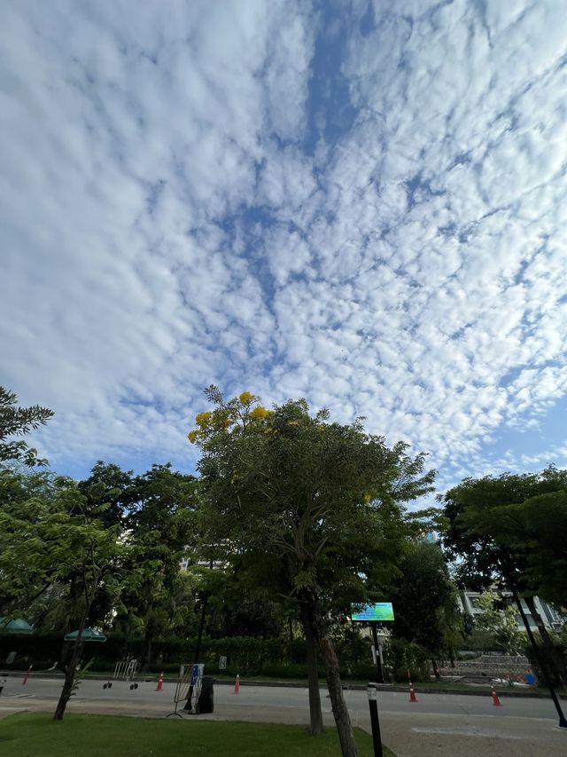 สวนเบญจกิติ 🌳🍃