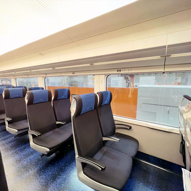 🇯🇵 Skyliner Narita Airport 