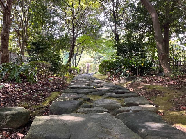 千葉県立幕張海浜公園 @幕張⛲️ 千葉県立幕張海浜公園 @幕張⛲️
