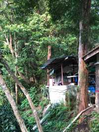 A healthy hiking trip in Penang