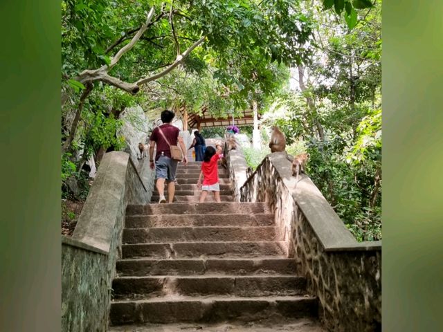 🇱🇰 The Largest cave temple complex in Dambulla, Sri Lanka