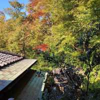 京都的瑠璃光院：穿越時空的彩色幻境 🏯🌸🌈 