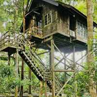 Permai Rainforest Resort
