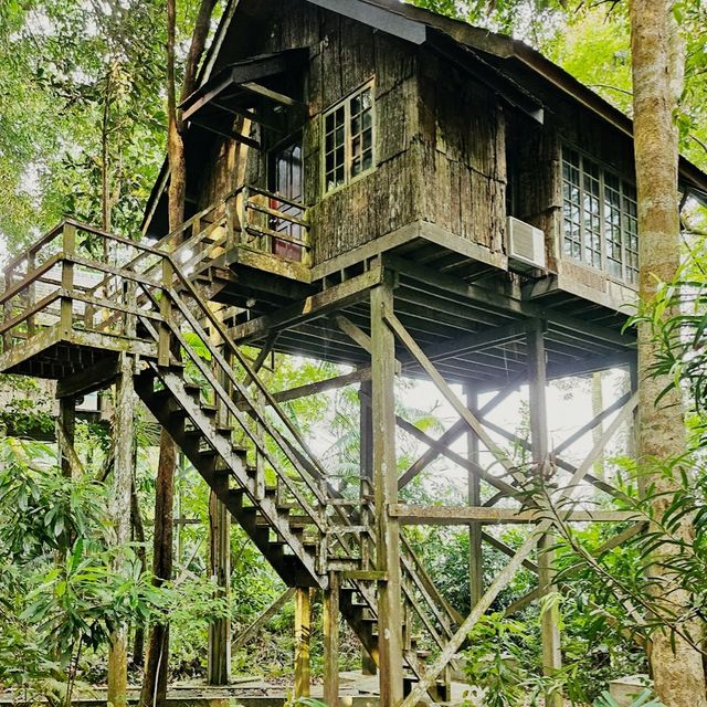 Permai Rainforest Resort
