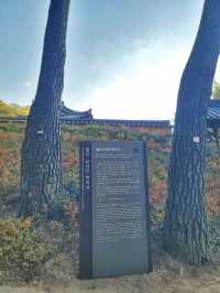 늦가을 즐기기 좋은 밀양여행지🍂