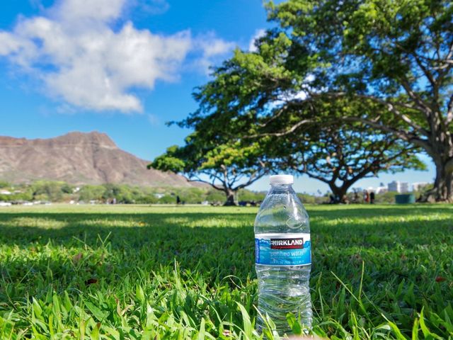 【ハワイ・オアフ島】ワイキキで大好きな場所🌳